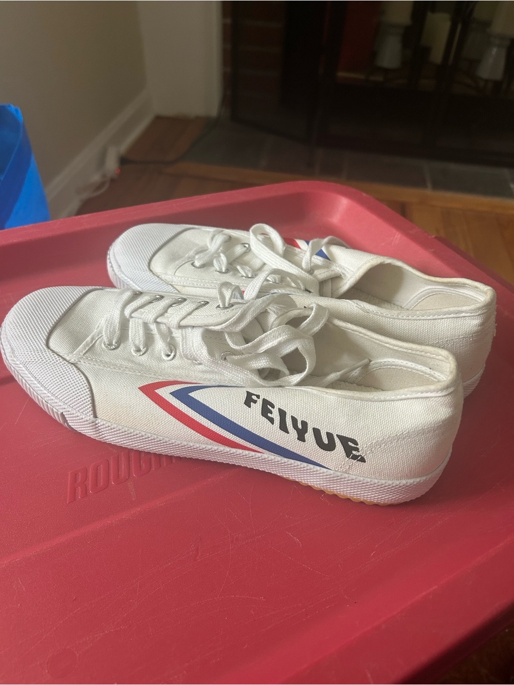 Feiyue White Canvas Athletic Shoes with Red & Blue Chevron